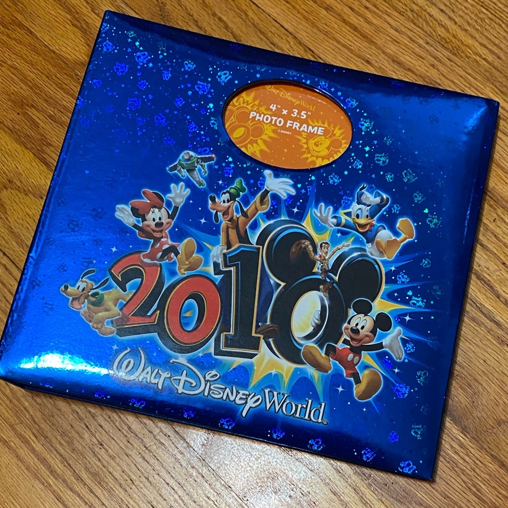 Disney Parks 2010 Picture Album